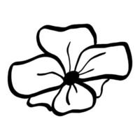 Black line doodle flower on white background. Vector illustration about nature.