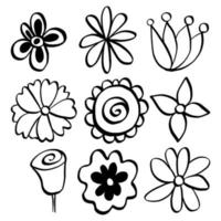 Black line doodle flowers on white background. Vector illustration about nature.