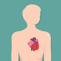 diagrama de un solo corazón en el cuerpo en el tema de ciencia kawaii doodle vector cartoon