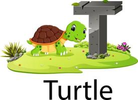 zoo animal alphabet T for turtle with the good animation vector