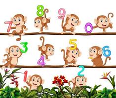 Let's count with monkey vector