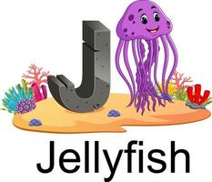 cute zoo animal alphabet J for jelly fish with real animal vector