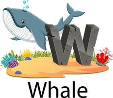 lindo zoológico animal alfabeto w para ballena con la buena animación vector