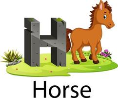 Lindo zoológico animal alfabeto h para caballo con animal real vector