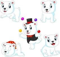 the collection of the white circus bear playing with the ball with the different posing vector