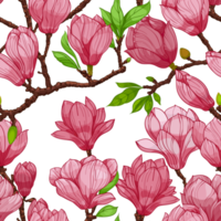 pink blossom magnolia flowers, seamless pattern. hand drawn illustration png