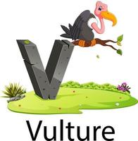 zoo animal alphabet V for Vulture with the good animation vector