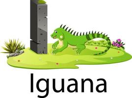 lindo alfabeto animal del zoológico i para iguana con animal real