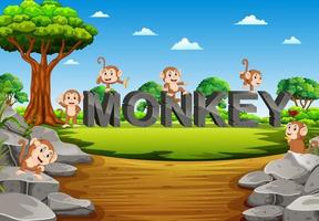 the monkey are playing on the MONKEY alphabet on the garden vector