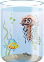 Cylinder aquarium with colorful fish, jellyfish and seaweed, isolated on white background vector