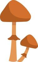 Two conocybe filaris mushrooms, icon illustration, vector on white background