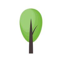 Green tree oval crown. Simple tree. vector