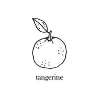 Vector illustration of a tangerine with a leaf on a twig. Citrus fruit for the New Year.