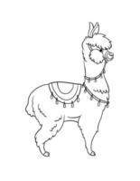 Llama Isolated Coloring Page for Kids vector