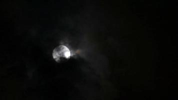 pieno sangue Luna brillante su il buio notte nube con nube passaggio video