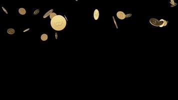 fondo transparente de la colección de monedas cayendo de oro de bitcoin video