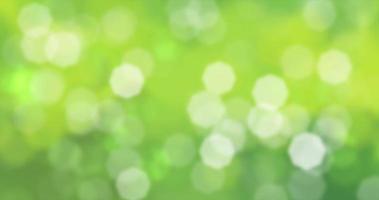 Sunlight shining through the leaves of trees, natural blurred background, Nature abstract background, nature green bokeh. Loop Animation video