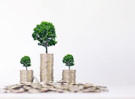 Tree growing on a coin on a white background economic growth. finance, banking and stock market investment. photo