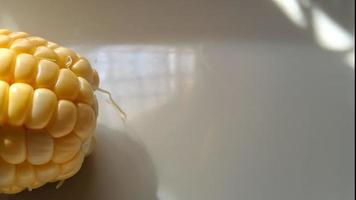maíz dulce en un plato de melamina blanca foto