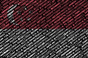 Singapore flag is depicted on the screen with the program code. The concept of modern technology and site development photo