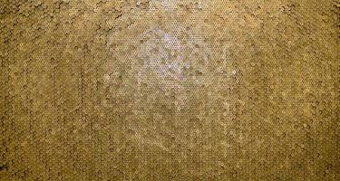 Pattern of 12 gauge cartridges for shotgun bullets. Shells for hunting rifle close up. Backdrop for shooting range or ammunition trade concepts photo