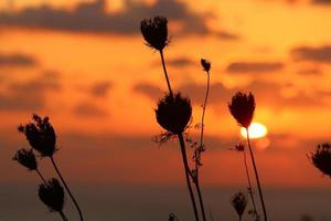 el sol se pone por debajo del horizonte en el mar mediterráneo en el norte de israel. foto