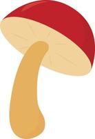 Mushroom, illustration, vector on white background.