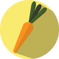 Fresh carrot, illustration, vector, on a white background. vector