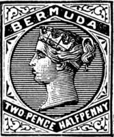 bermuda dos peniques sello de medio penique de 1884 a 1886, ilustración vintage. vector