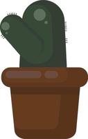 Fat cactus in pot, illustration, vector on white background.