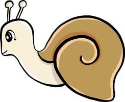 Snail with shell, illustration, vector on white background