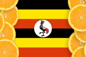 bandera de uganda en marco vertical de rodajas de cítricos foto