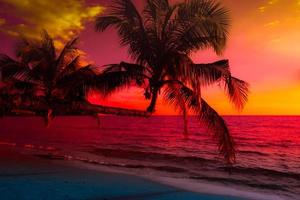 silueta de palmera en la playa durante la puesta de sol de una hermosa playa tropical sobre fondo de cielo rosa foto