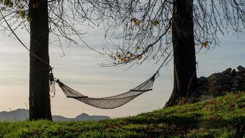 Hammock suspended between two trees photo