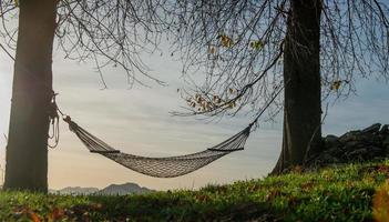Hammock suspended between two trees photo