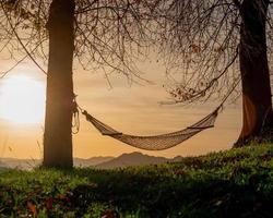 Hammock suspended between two trees photo