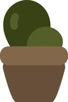 Succulent in pot, illustration, on a white background. vector