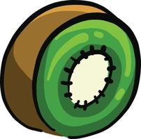 Kiwi in half, illustration, vector on a white background.