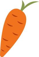 Fresh carrot, illustration, vector on white background.