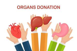 Donation organs. Doctors hands hold donor stomach, heart, liver for transplantation. Volunteer aid vector
