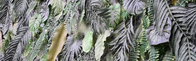 fondo de hojas verdes tropicales, helecho, palma y hoja de monstera deliciosa en la pared foto