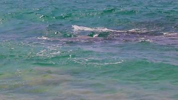 secreto plátano playa bahía panorama turquesa agua clara phuket tailandia. video