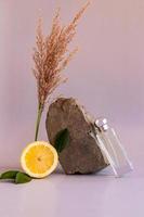 a vertical view of a transparent bottle of women's perfume leaned against a gray stone. beige background. citrus natural perfume fragrance. photo