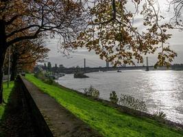 dusseldorf y el río rin foto