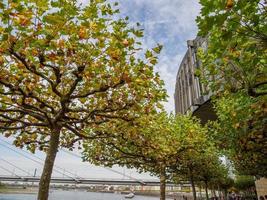 dusseldorf and the rhine river photo