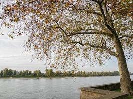 dusseldorf y el río rin foto