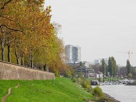 el río rin y la ciudad de dusseldorf foto