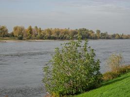 the rhine river and the city of dusseldorf photo