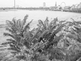 la ciudad de dusseldorf en el río rin foto