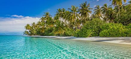 Summer travel background. Exotic tropical beach island, paradise coast. Palm trees white sand, amazing sky ocean lagoon. Fantastic beautiful nature background, sunny day idyllic inspirational vacation photo